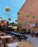 Mecca | 1429 Walnut St